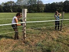 Fence Protection Strategies for Homeowners